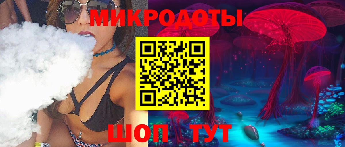 Галлюциногенные грибы Psilocybe Кисловодск